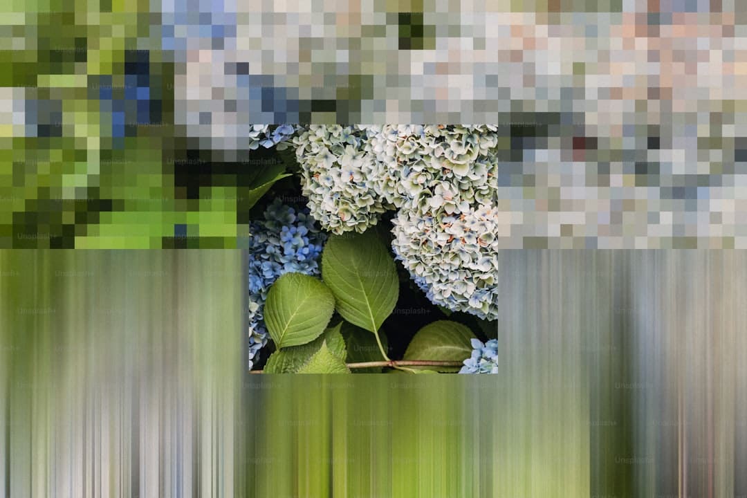官桥镇：“小口袋”兜住“大美好”